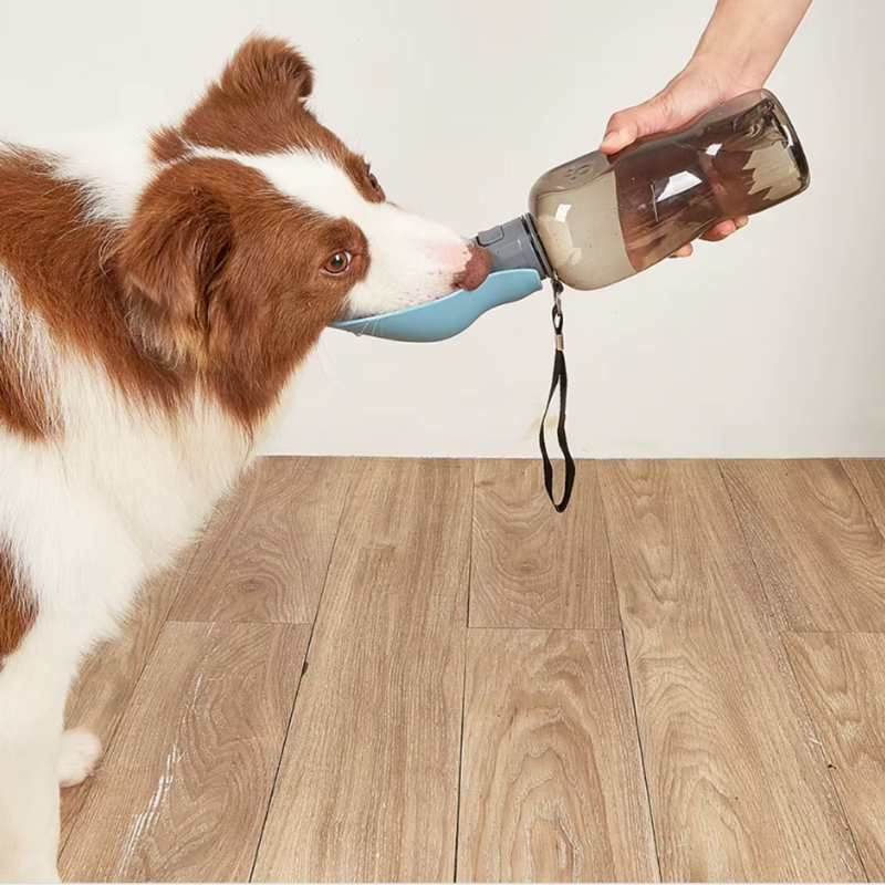 Garrafa de Água para Cães e Gatos